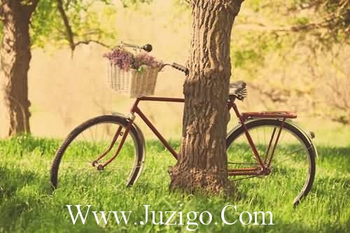 奋斗正能量的句子简短(介绍几个,能激励人奋斗的正能量的句子)