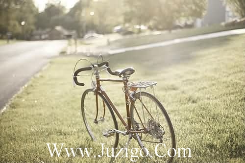 夜深人静发的说说晚安正能量语录(精选21句)