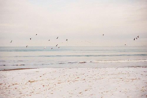 迎接八月励志的句子(28句)