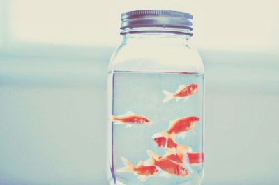 ​秋拟人句41句