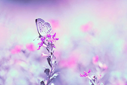 考试失败的励志句子文案(27句)