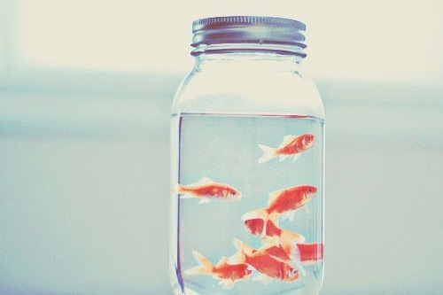 11月早安心语正能量一句话 11月早安问候语简短一句话