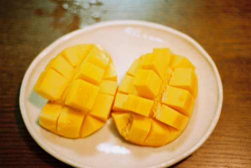 绽开拟人句29句