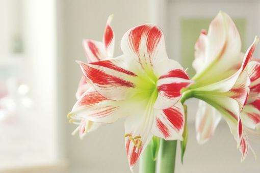 早安暖心话短句正能量(20句)