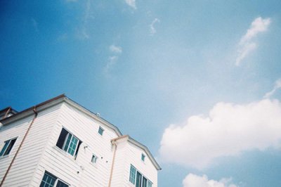 ​向日葵的阳光励志短句(30句)