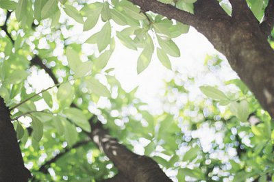 ​正能量高情商说说大全成熟的高情商说说短句(24句)