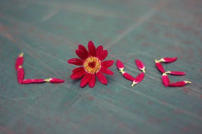 ​溪边的拟人句16句