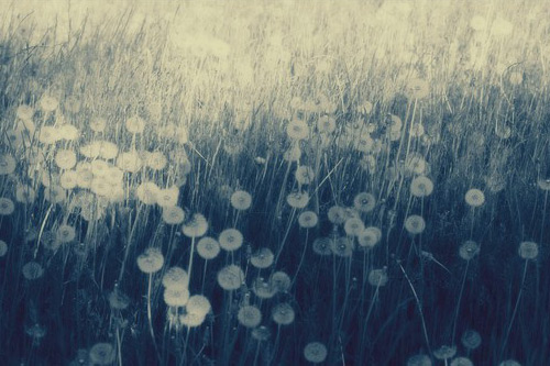 有关眼泪的比喻句12句