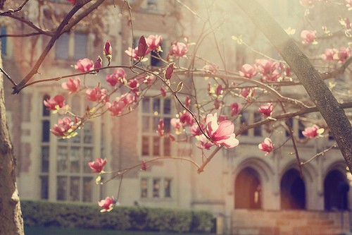 正能量工作心得一句话(22句)