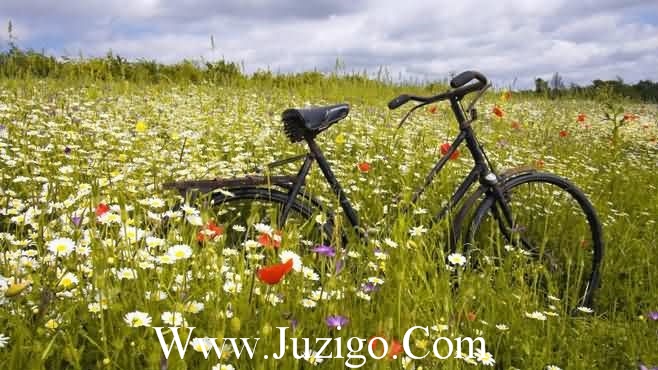 十一月再见十二月你好励志说说语录大全