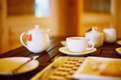 ​排比句写动物18句