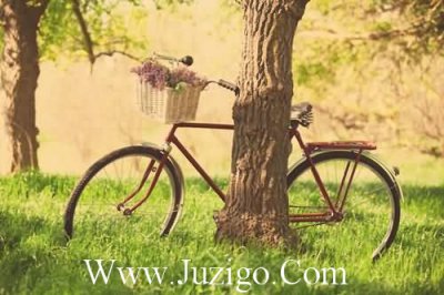 ​安妮宝贝的安妮宝贝北纬36(精选30句)