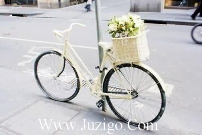 ​树林写拟人句15句