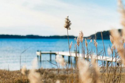 ​关于孝顺感恩的谚语30句