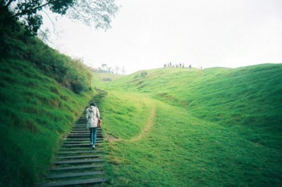 ​关于花草树木的谚语85句