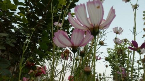 正能量励志经典语录