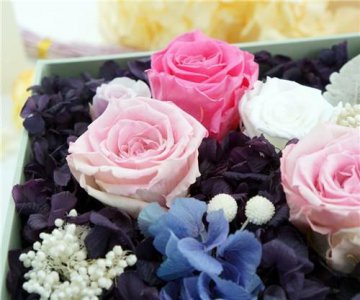 ​励志说说心情短语大全