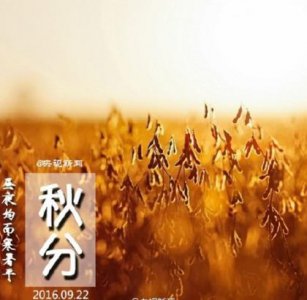 ​信心经典语录励志（简洁精辟的心灵鸡汤的语句）