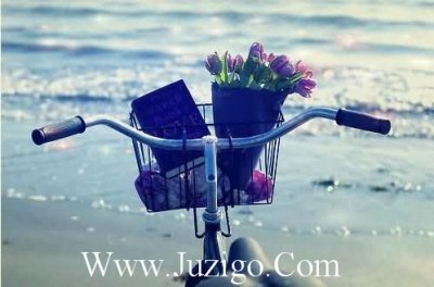 ​粥的歇后语85句