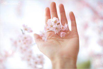 ​火红拟人句13句