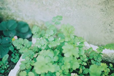 ​曹操败走华容道歇后语22句