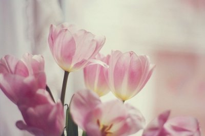 ​芝麻地里的绿豆歇后语20句