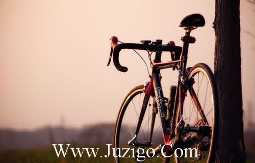 一年级比喻句40句