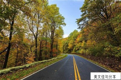 ​励志好好努力的句子（61句激励自己努力的文案）