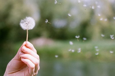 ​乐观自信的正能量句子告别懦弱的正能量语录(64句)