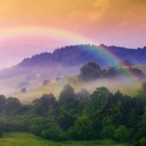 ​开始励志语句(新的一天开始精美语句)