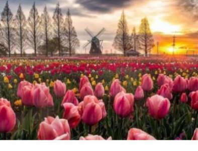 ​网名男生阳光简单励志 男生青春阳光励志网名