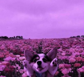 ​励志语录 晚安语录励志简短一句话(25条)