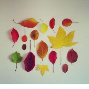 ​2024最经典的心情说说（四月唯美）