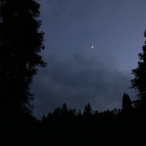 ​幽默的安慰失眠的人短句文案（分享深夜失眠治愈心灵的句子）