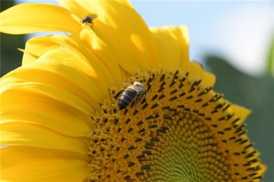 ​发朋友圈励志句子大全 正能量，经典励志