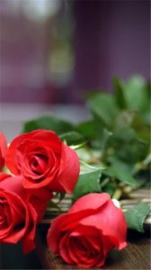 ​关于人生励志的句子优美(黑板报励志的优美句子)