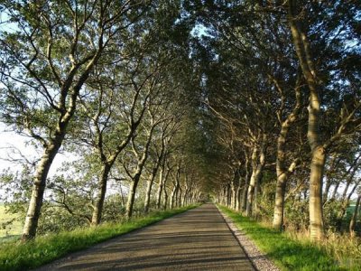 ​早安正能量励志句子(温暖阳光元气满满)