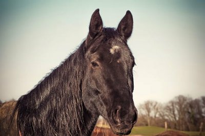 ​法语句子励志努力