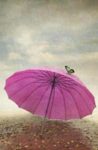 ​简单早安心语正能量一句话 早安励志心语