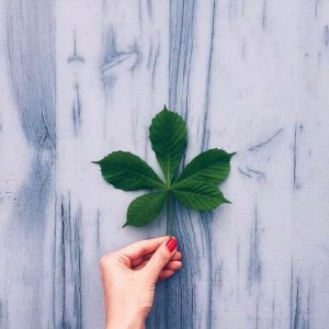 ​清晨句句催人奋进的唯美励志句子，不负青春，不负自己