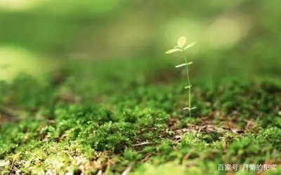 ​2022新年励志的句子