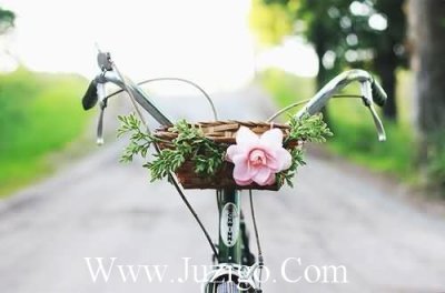 ​诚实可贵句子励志