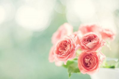 ​关于飞雪的比喻句12句