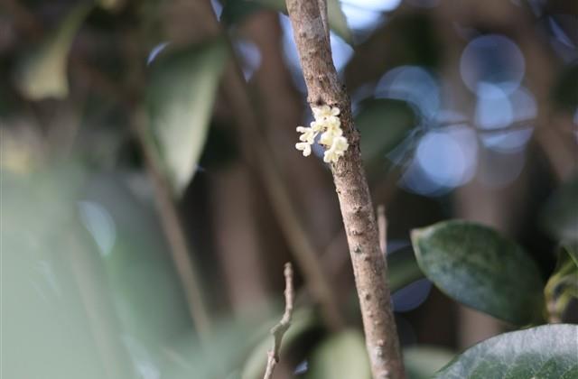 描写打篮球的精彩片段主要描写动作(16句)