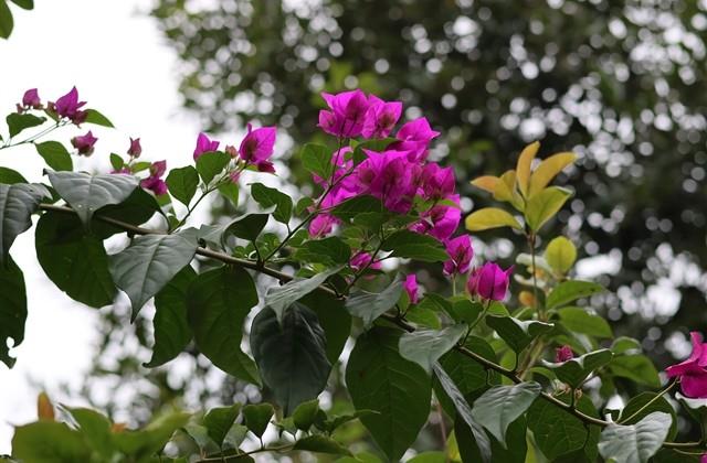 安慰失去亲人的暖心话