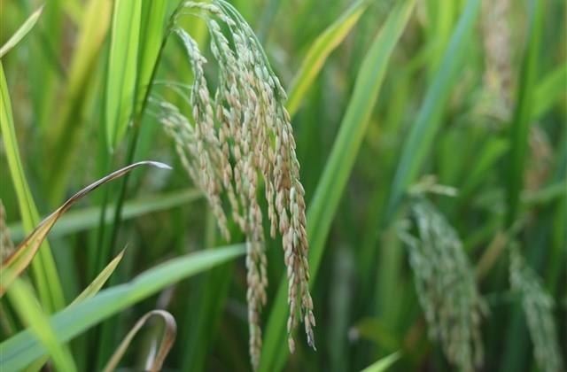 自己生病的说说心情短语