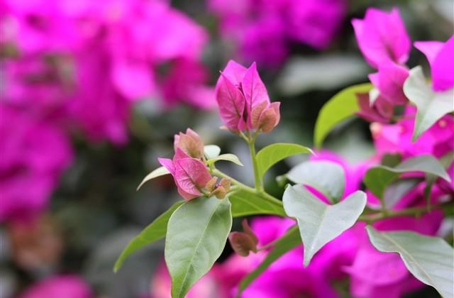 心情低落说说发朋友圈