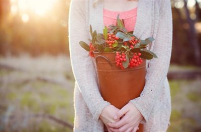 ​努力的心情说说感悟生活