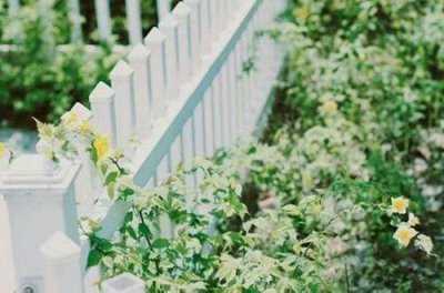 ​七字励志名言200句