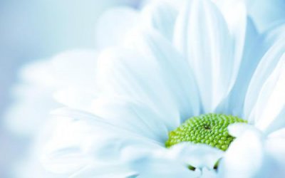 ​爱情公寓里的句子83句